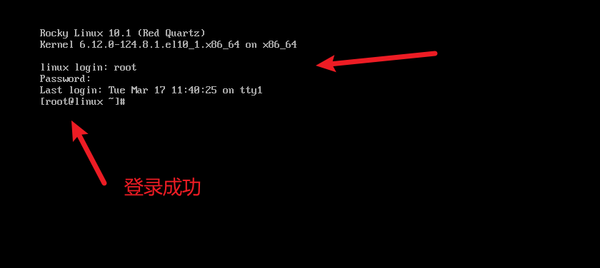 image-20260317114128084