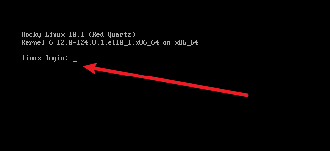 image-20260317114303066