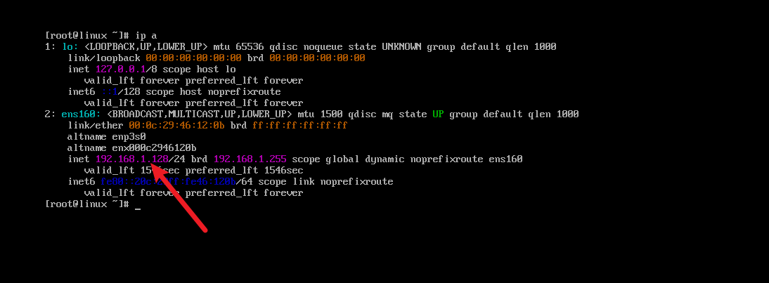 image-20260317114711845